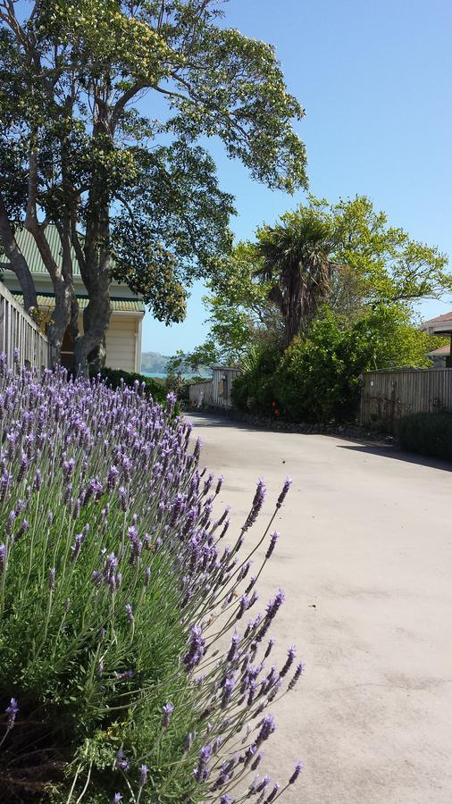 Abbey Court Motel Coromandel エクステリア 写真