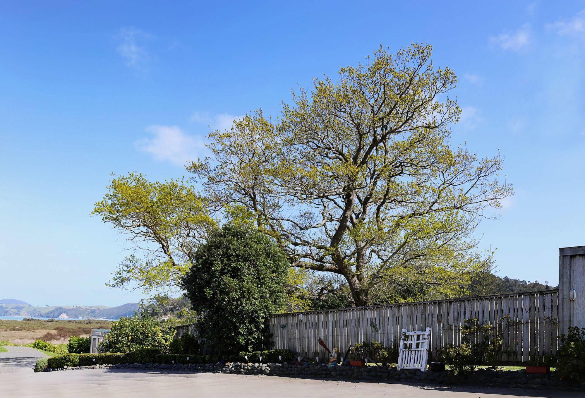 Abbey Court Motel Coromandel エクステリア 写真