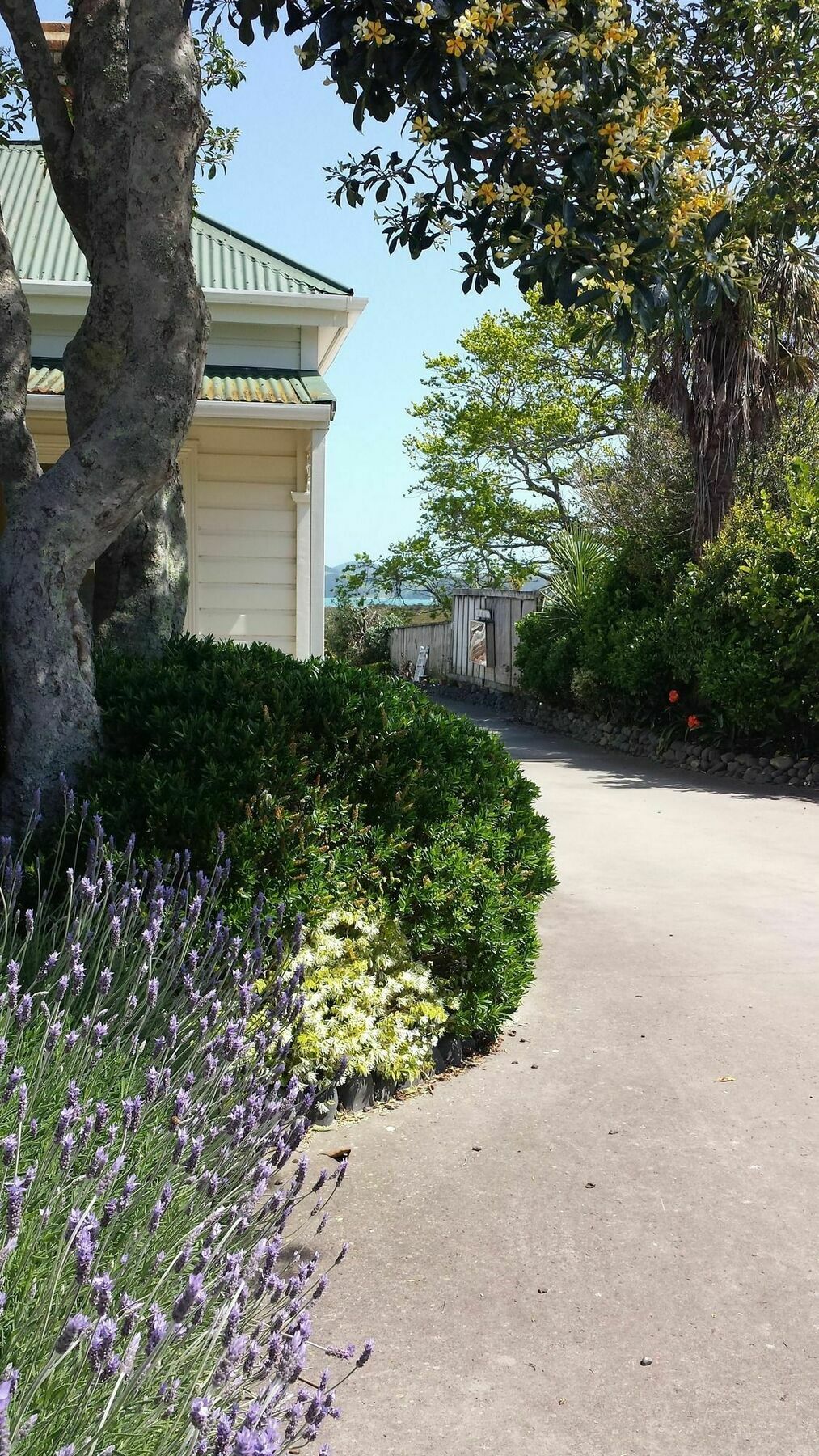 Abbey Court Motel Coromandel エクステリア 写真